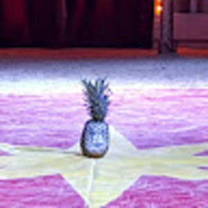 Meet your Posher, Yura